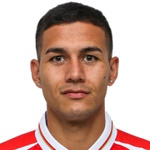 维戈